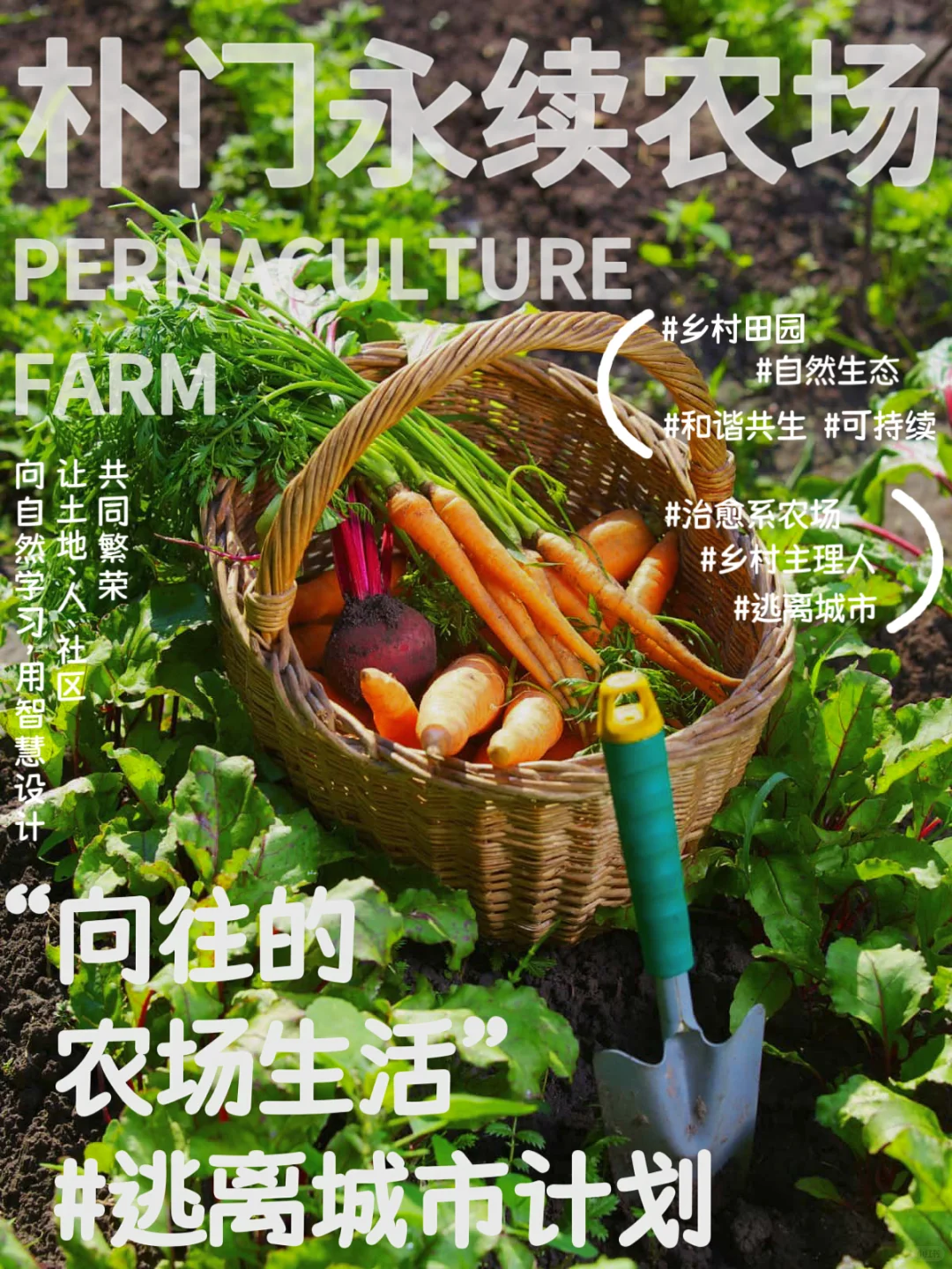 00后新农人计划｜在田园里治愈青春?