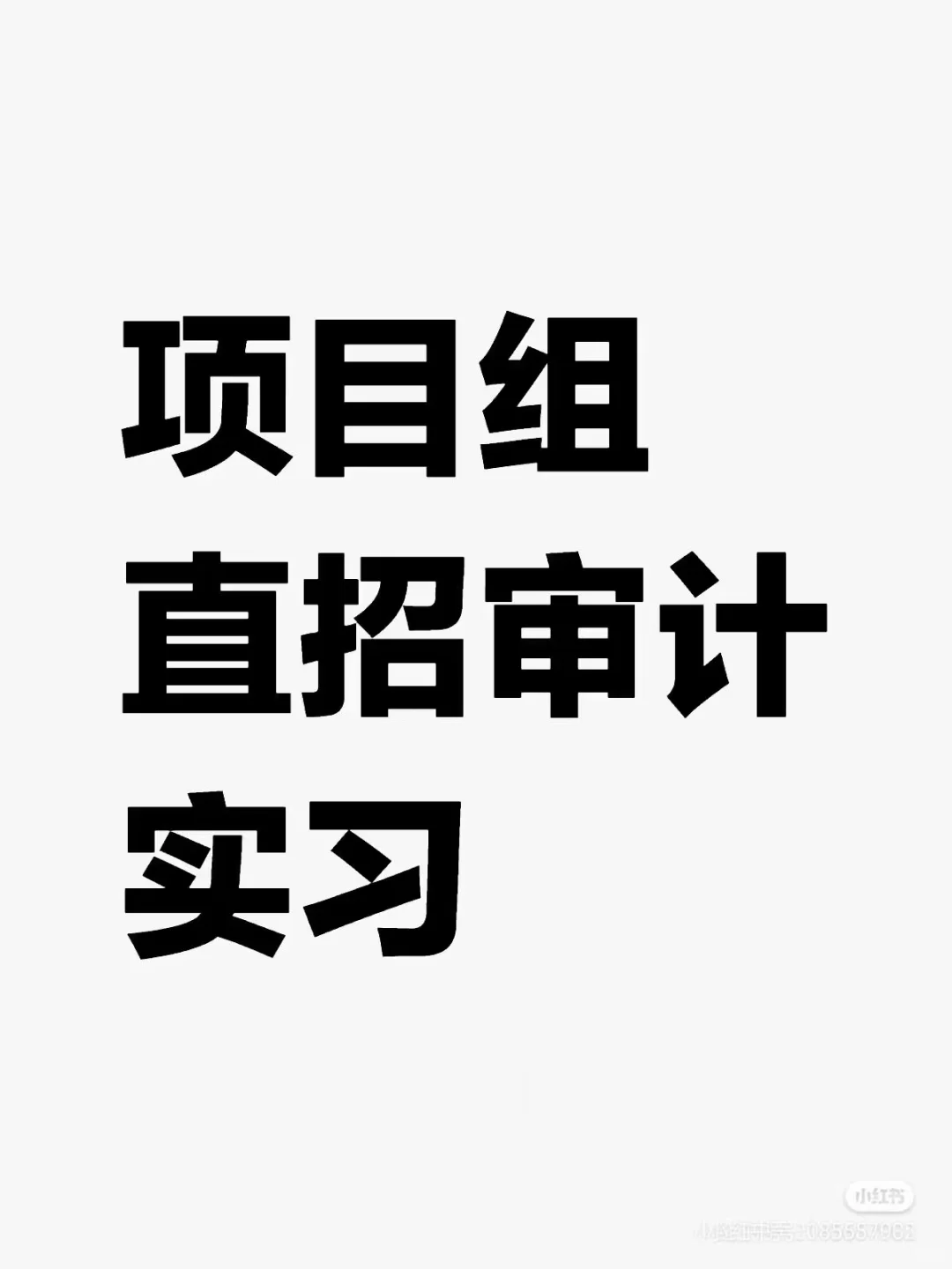 审计实习?项目组审计实习！