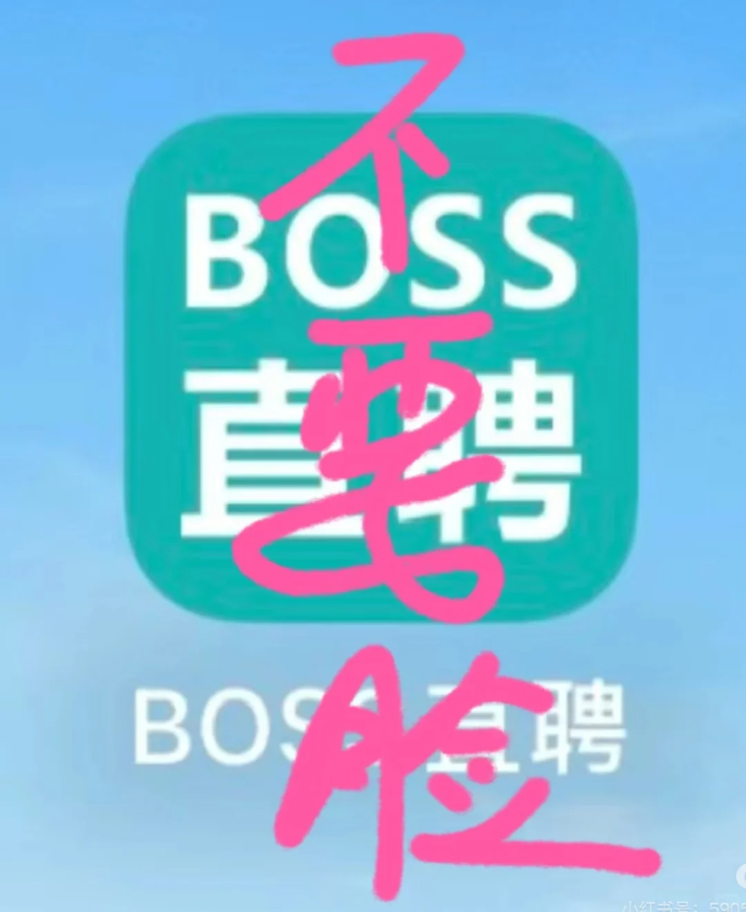 boss直聘你有病吧