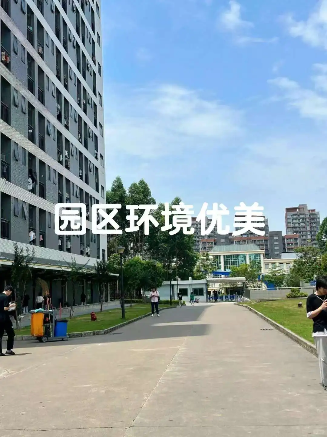 年纪轻轻就变成打饭阿姨了