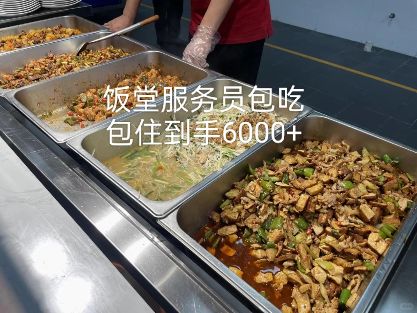 年纪轻轻就变成打饭阿姨了