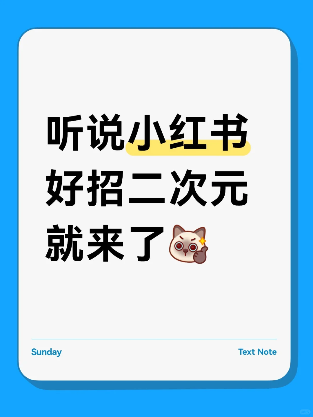 深圳初创二次元公司招人啦!