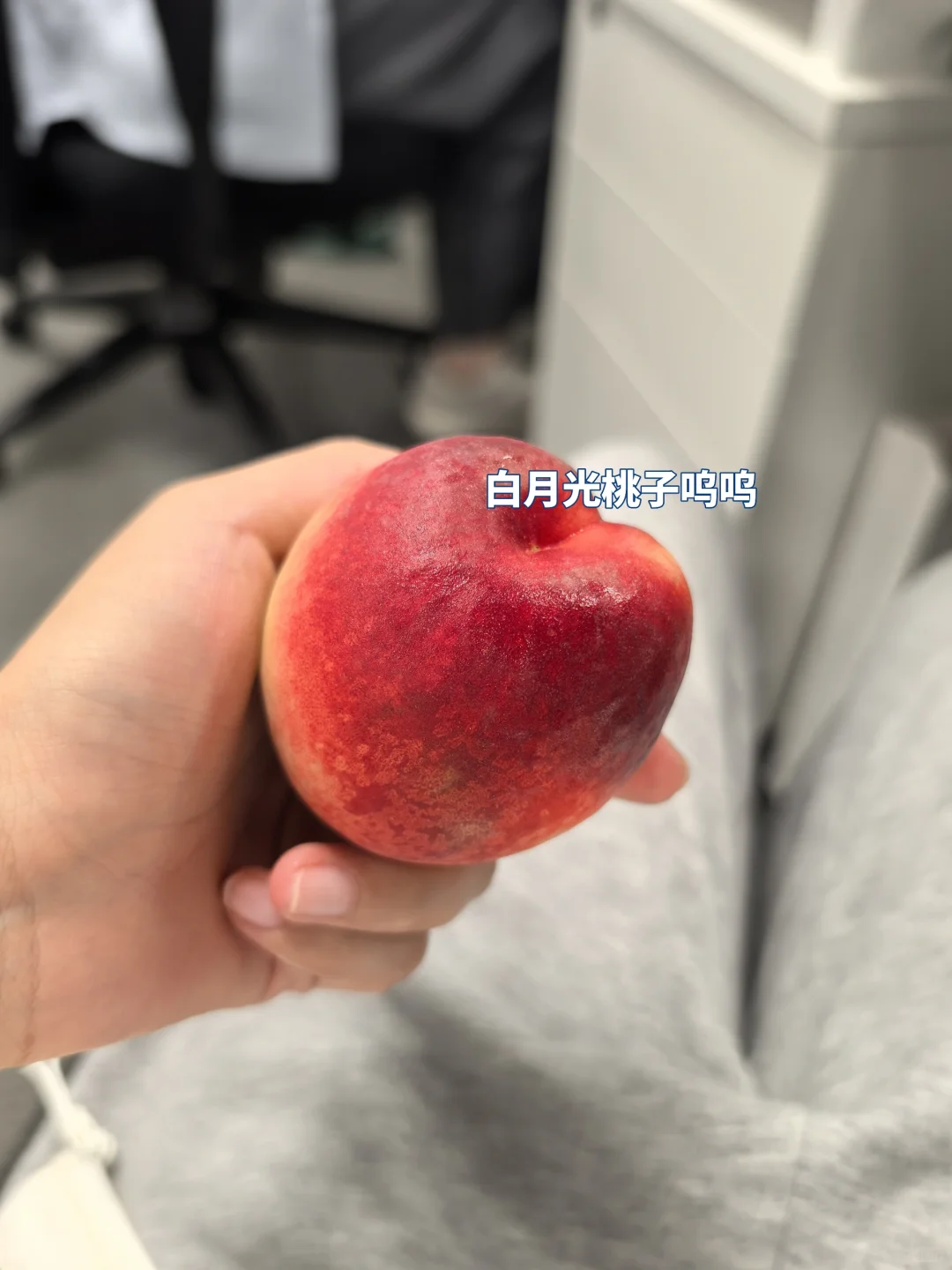招百度hr实习生继任啦