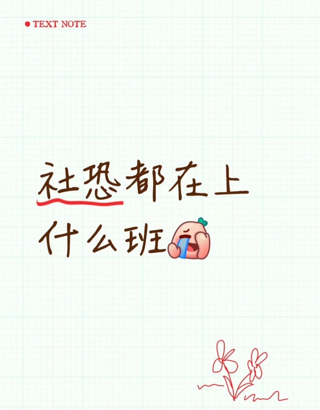 社恐的都在上什么班？