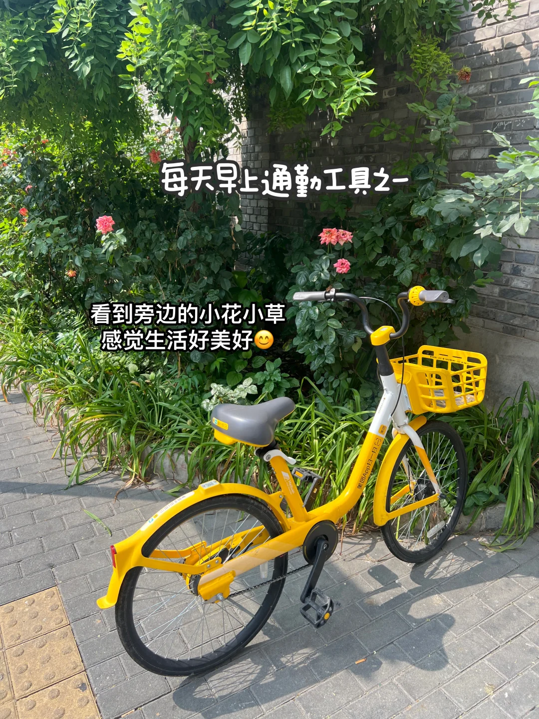 从学生到大厂实习生，AI救了我的职场焦虑…?