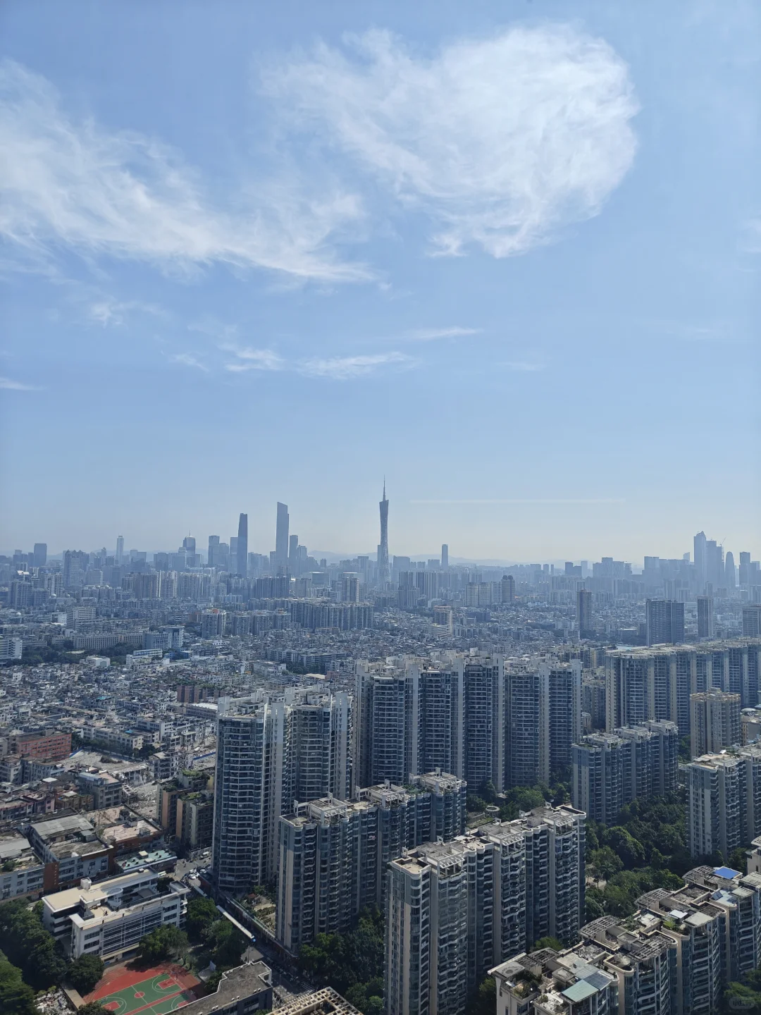 青木实习生入职半个月有感