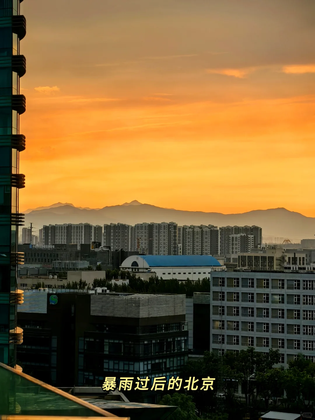 浙传05男大勇闯央视✌