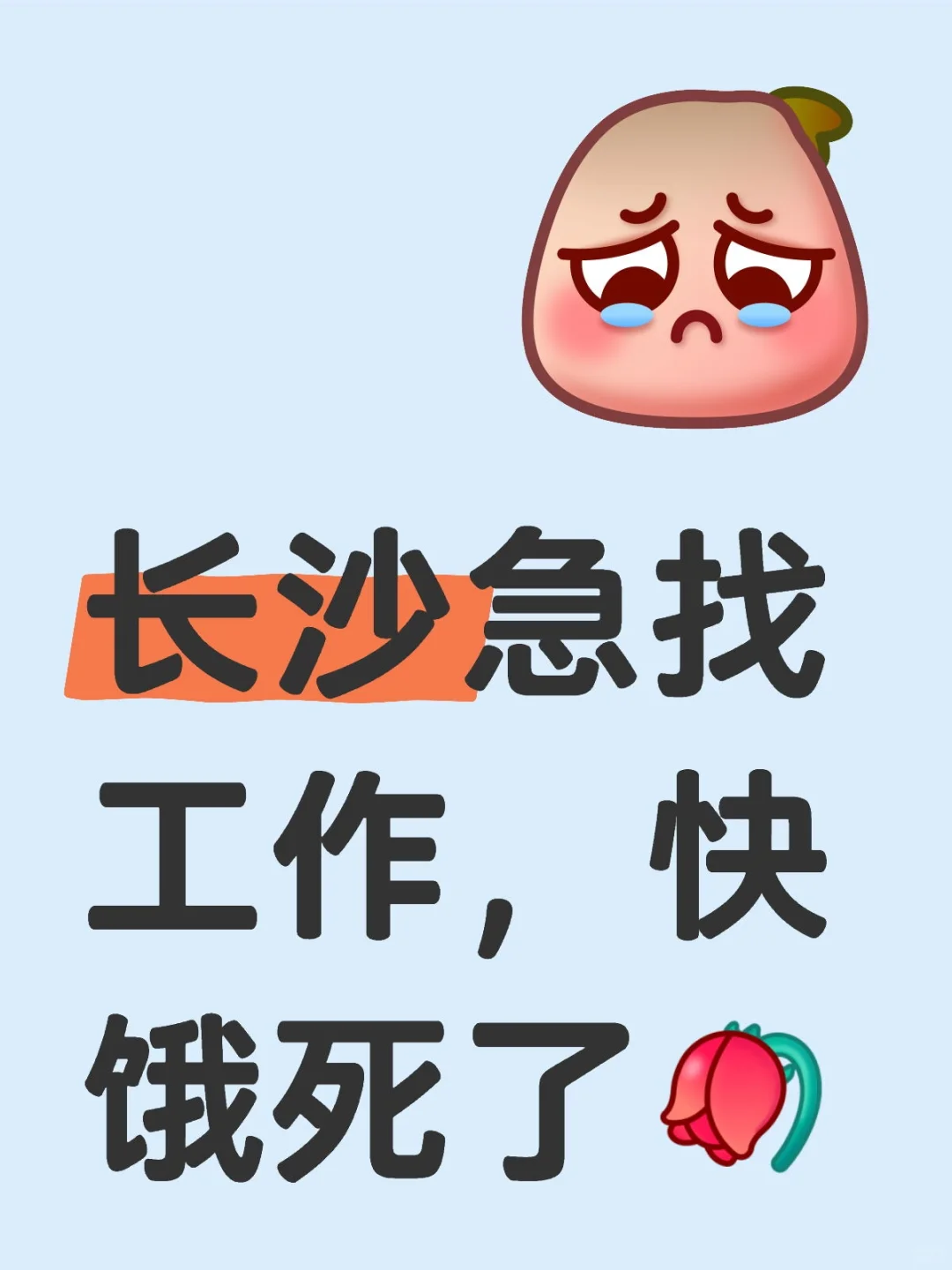 长沙急找工作，快饿鼠了[凋谢R]