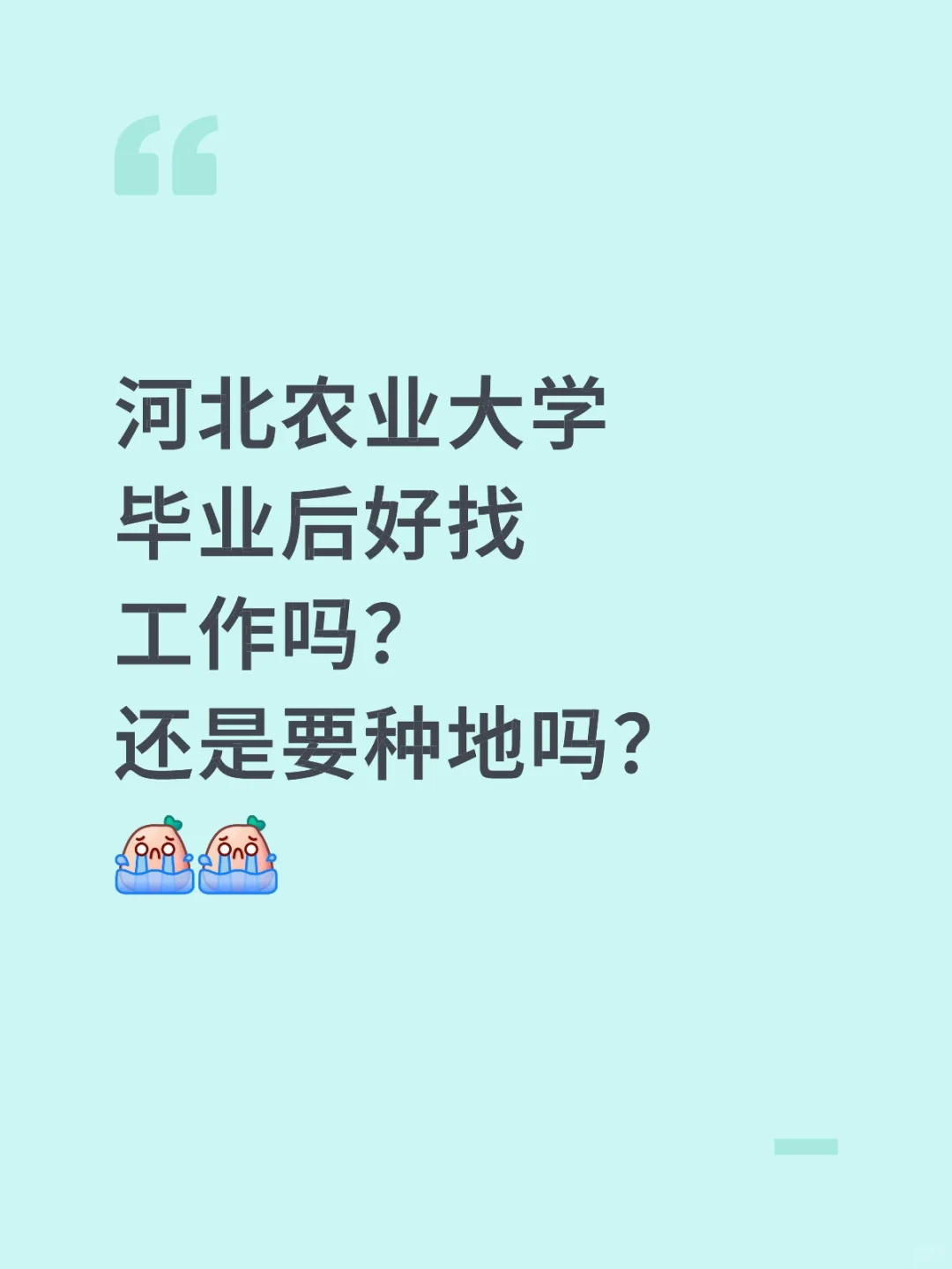 河北农业大学就业率怎么样啊？