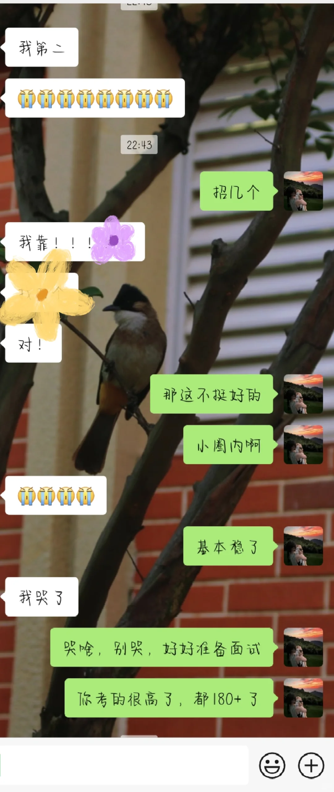 太激动了，180分+，狠狠共情住了。