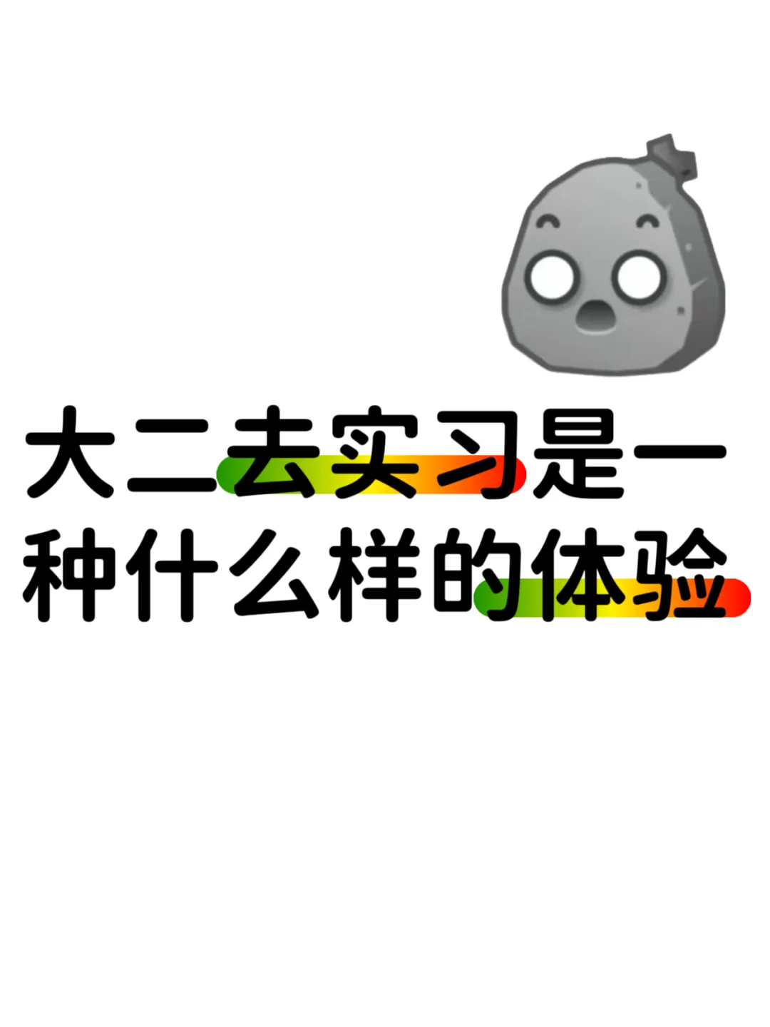 大二去实习是一种什么样的体验？