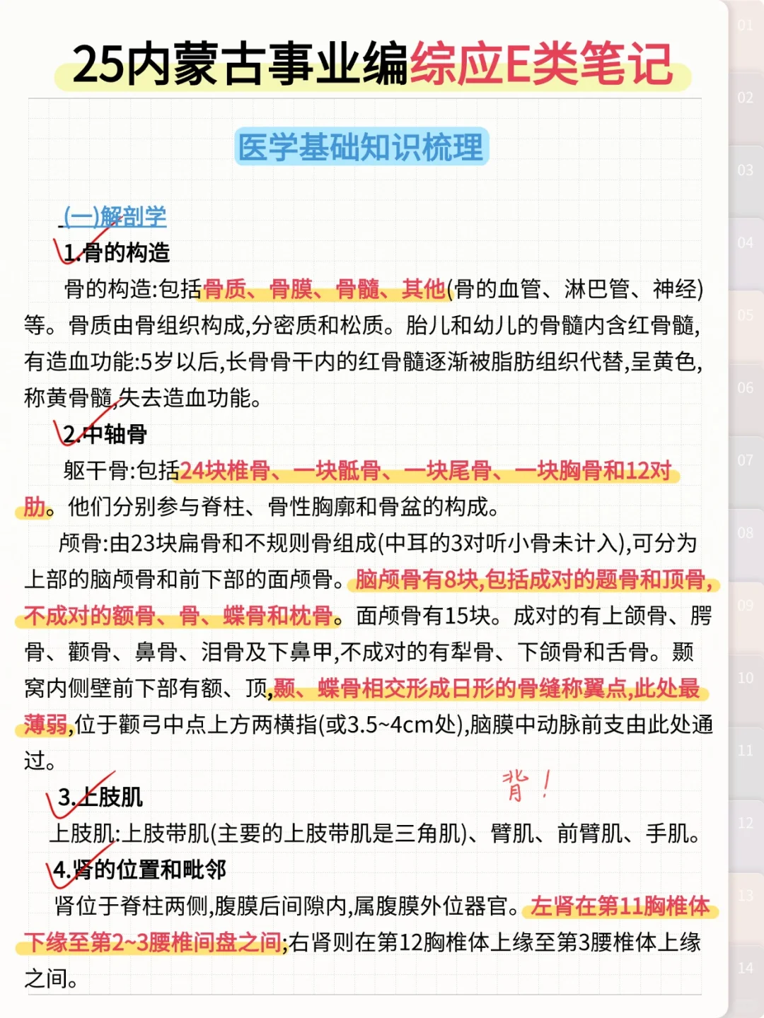姐3个月拼命过内蒙古事业编（上班版）