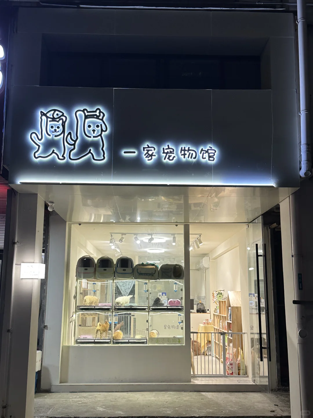 宠物店招聘喽~