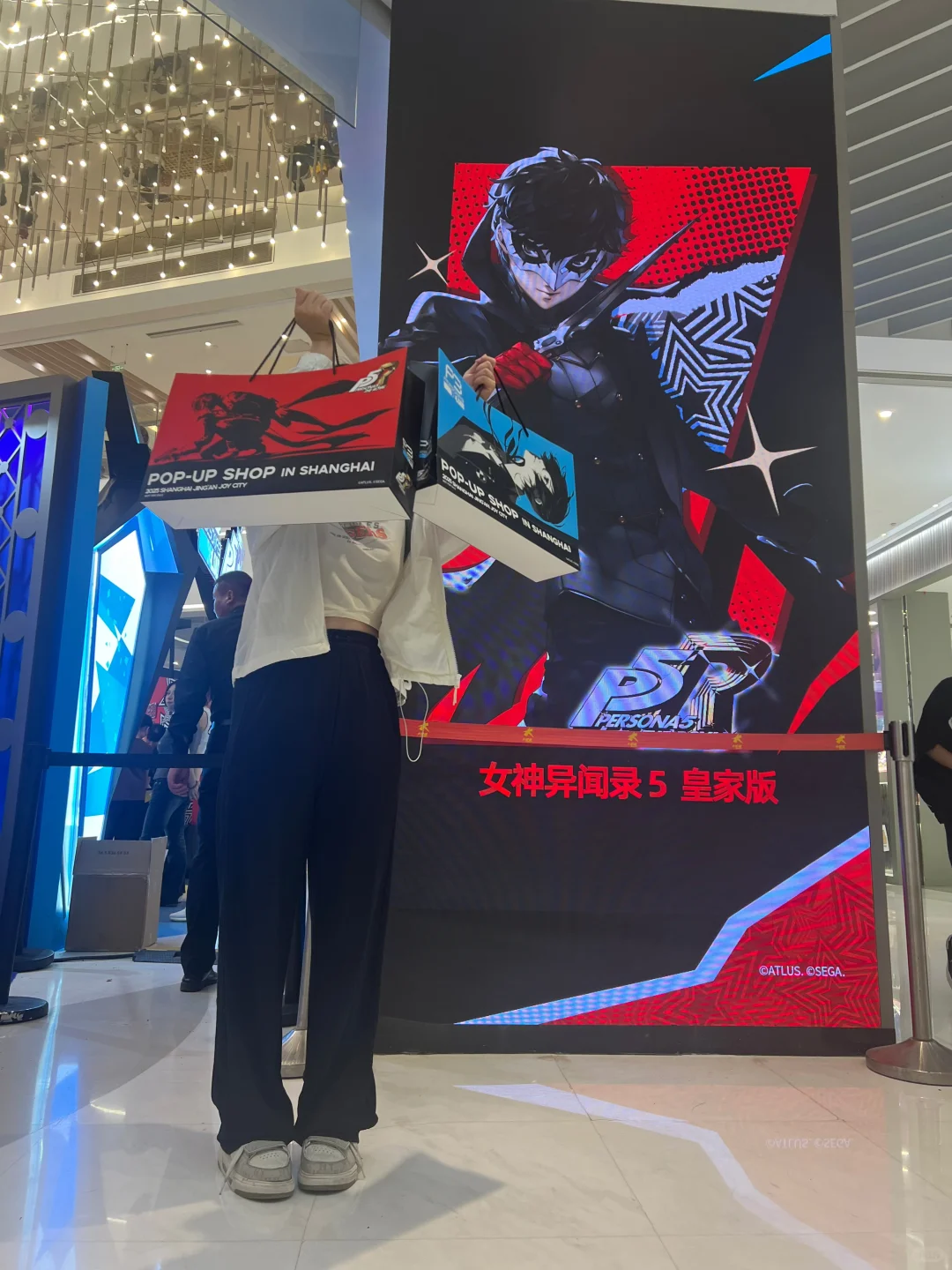 女神异闻录快闪结算画面