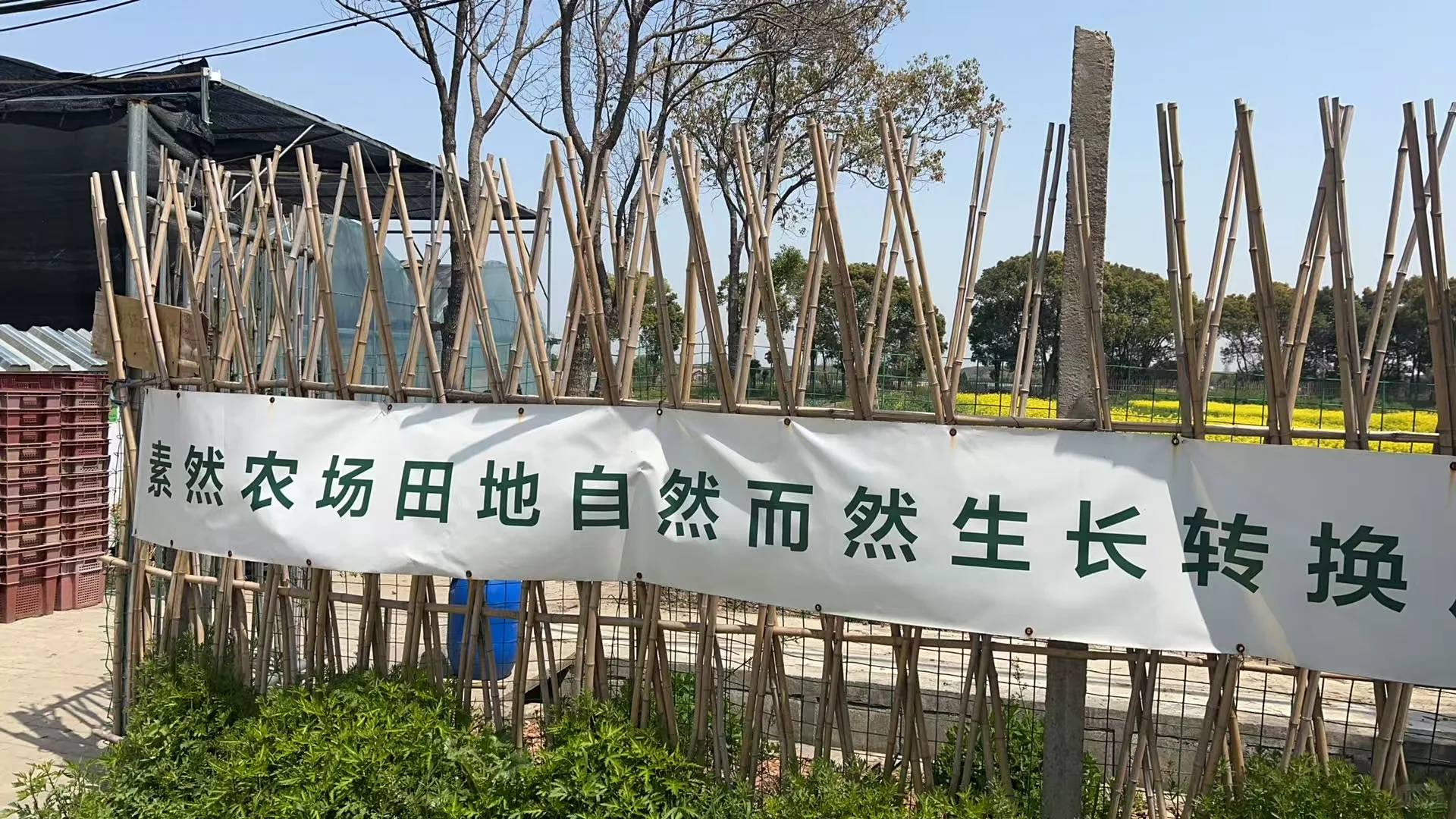 素然大田招募实习生啦！来跟我们一起种菜吧