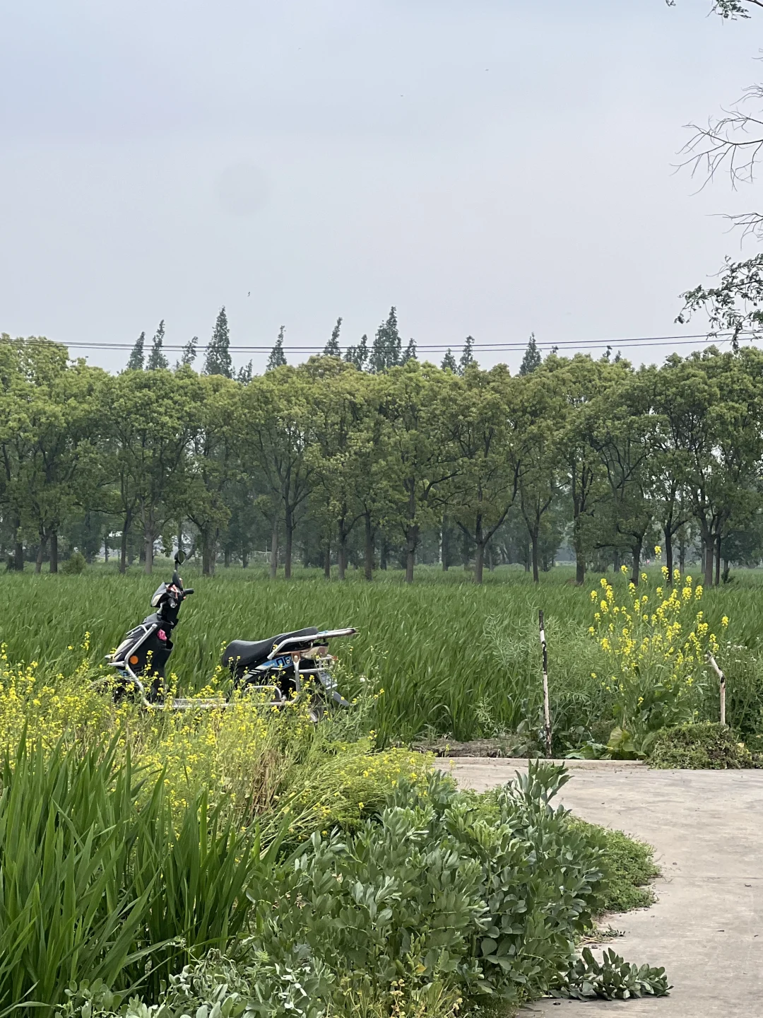 素然大田招募实习生啦！来跟我们一起种菜吧