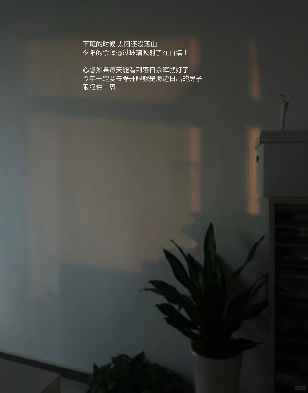 98年｜杭漂｜月薪2w｜尝试做自媒体的一天