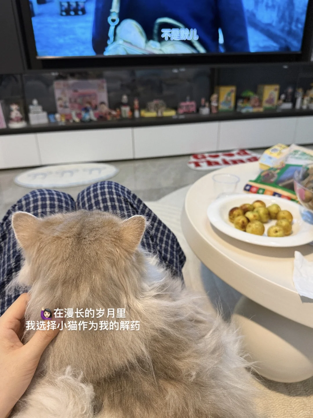 *转行日记:用30天时间换一张月薪1万的offer