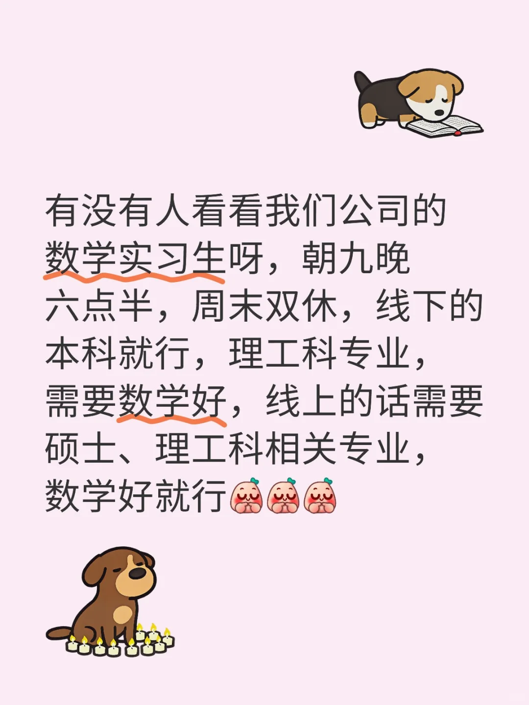 招数学实习生