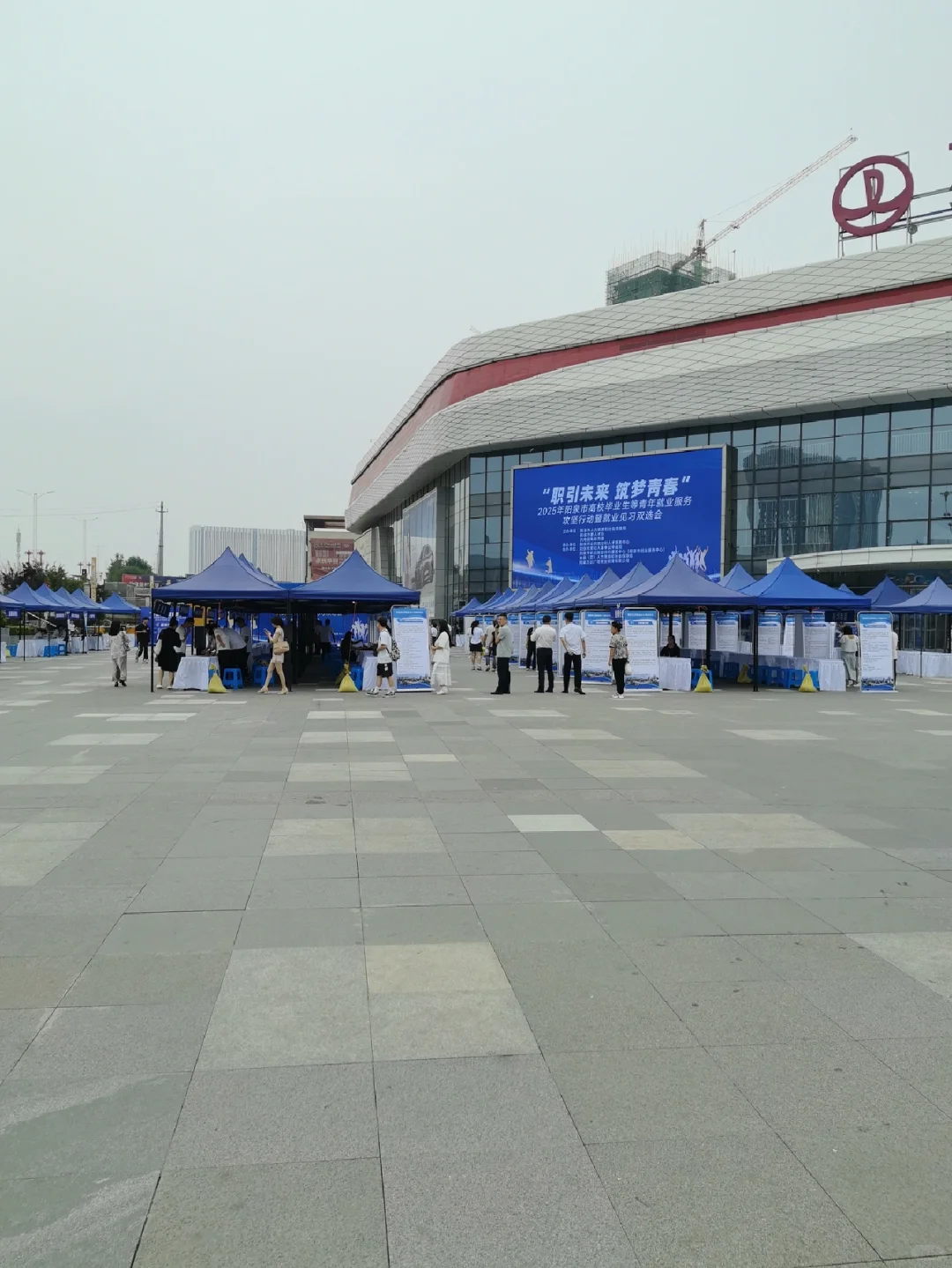 就业见习招聘