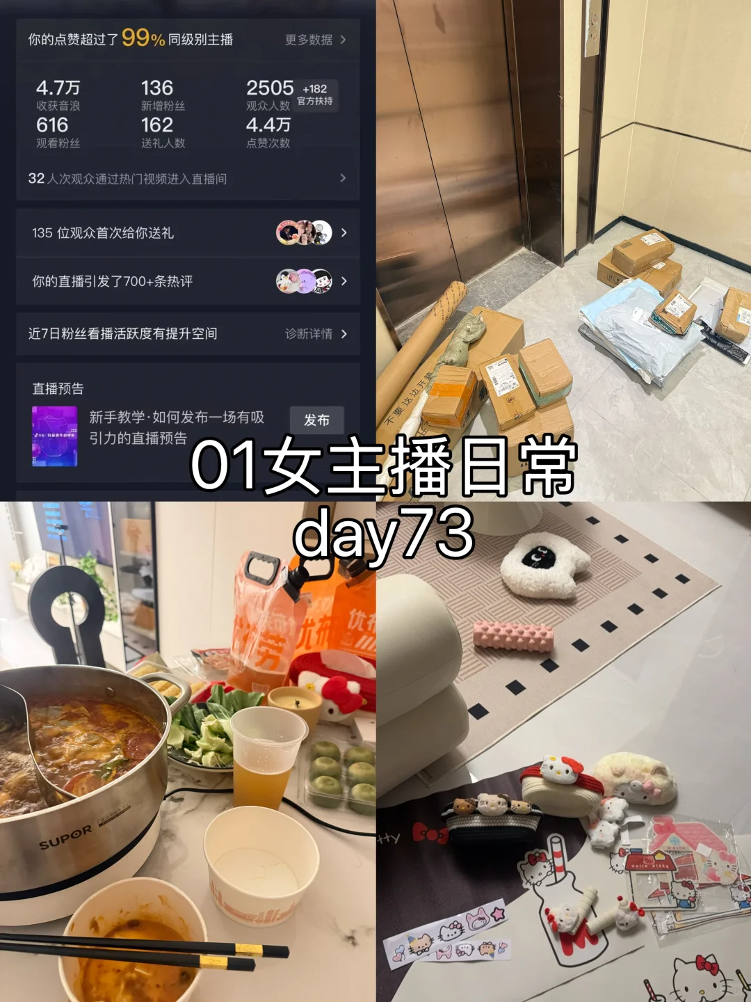 女主播摆烂日常