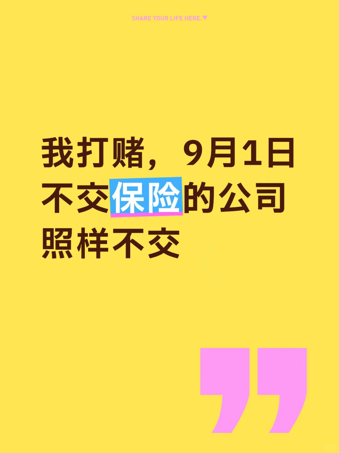 你信不信，那些不交保险的公司依然不交