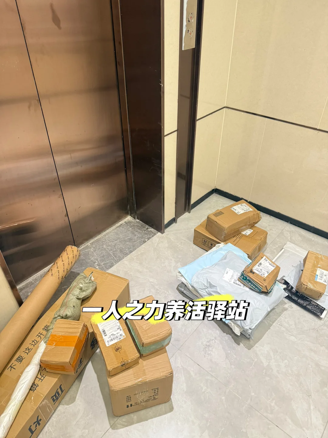 女主播摆烂日常