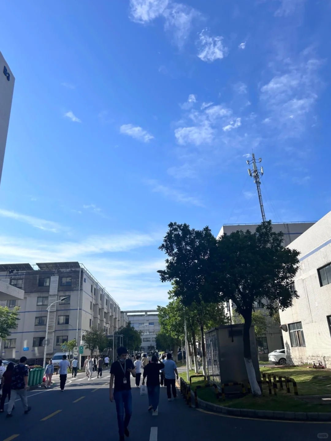 广州招人啦，长白班坐班 工作轻松环境不严！
