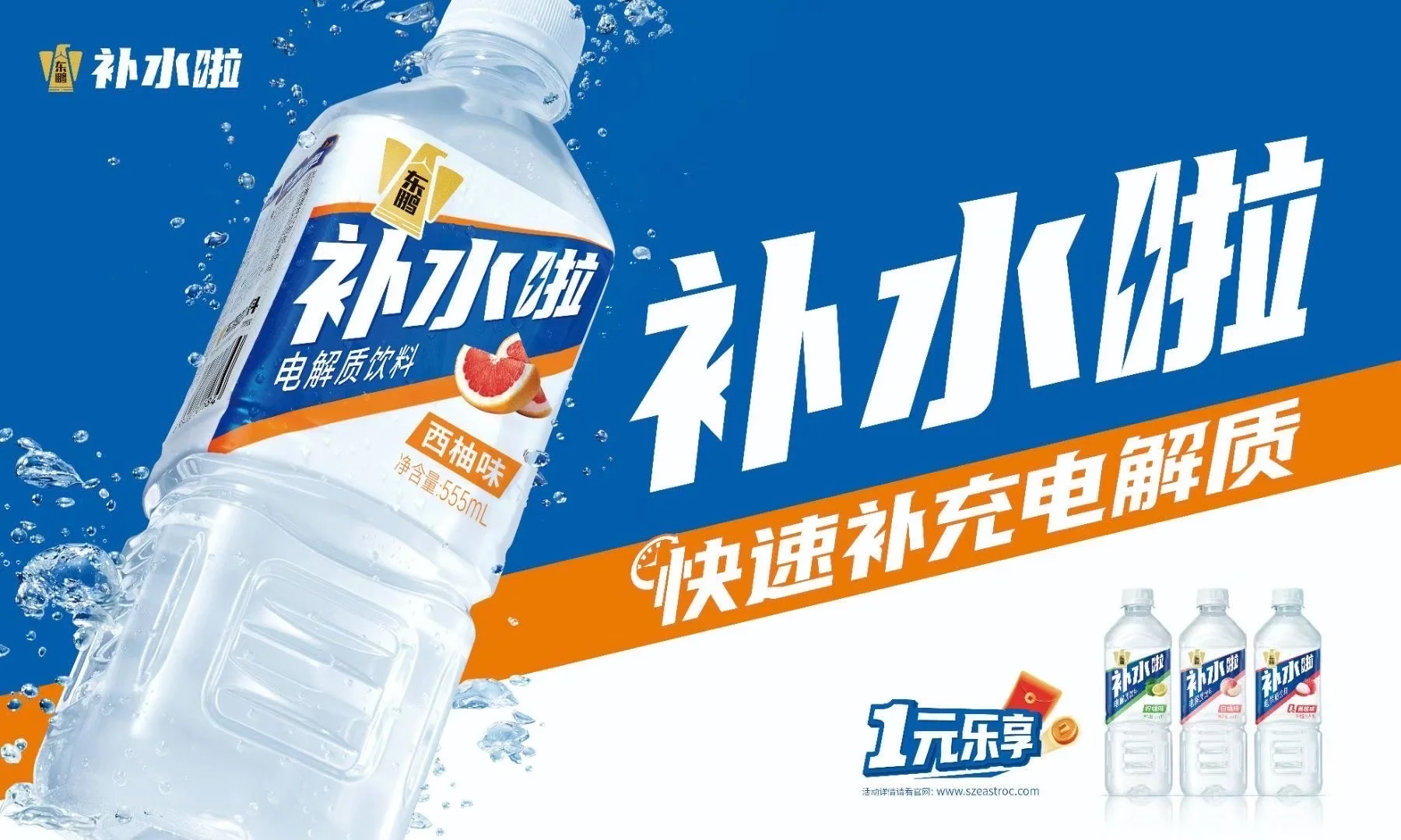 招聘督导专员