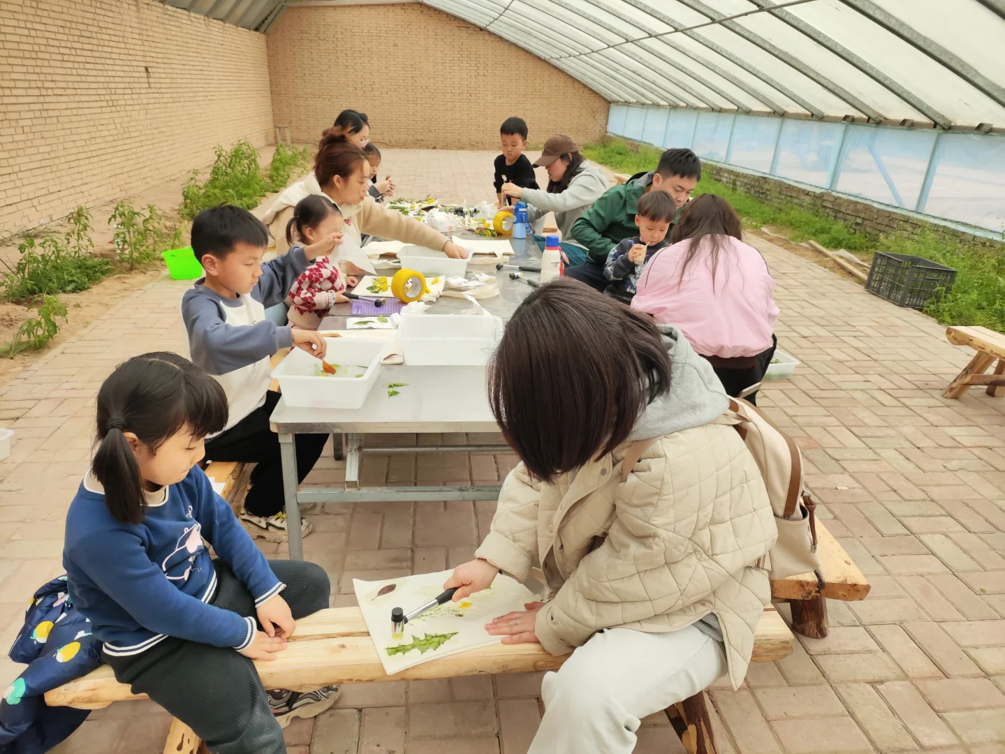 农场招募合伙人