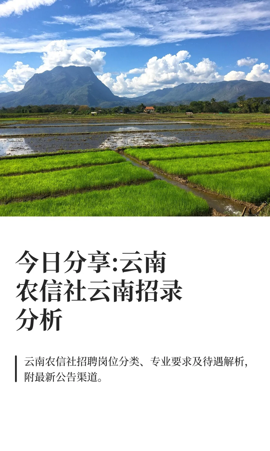 今日分享:云南农信社云南招录分析