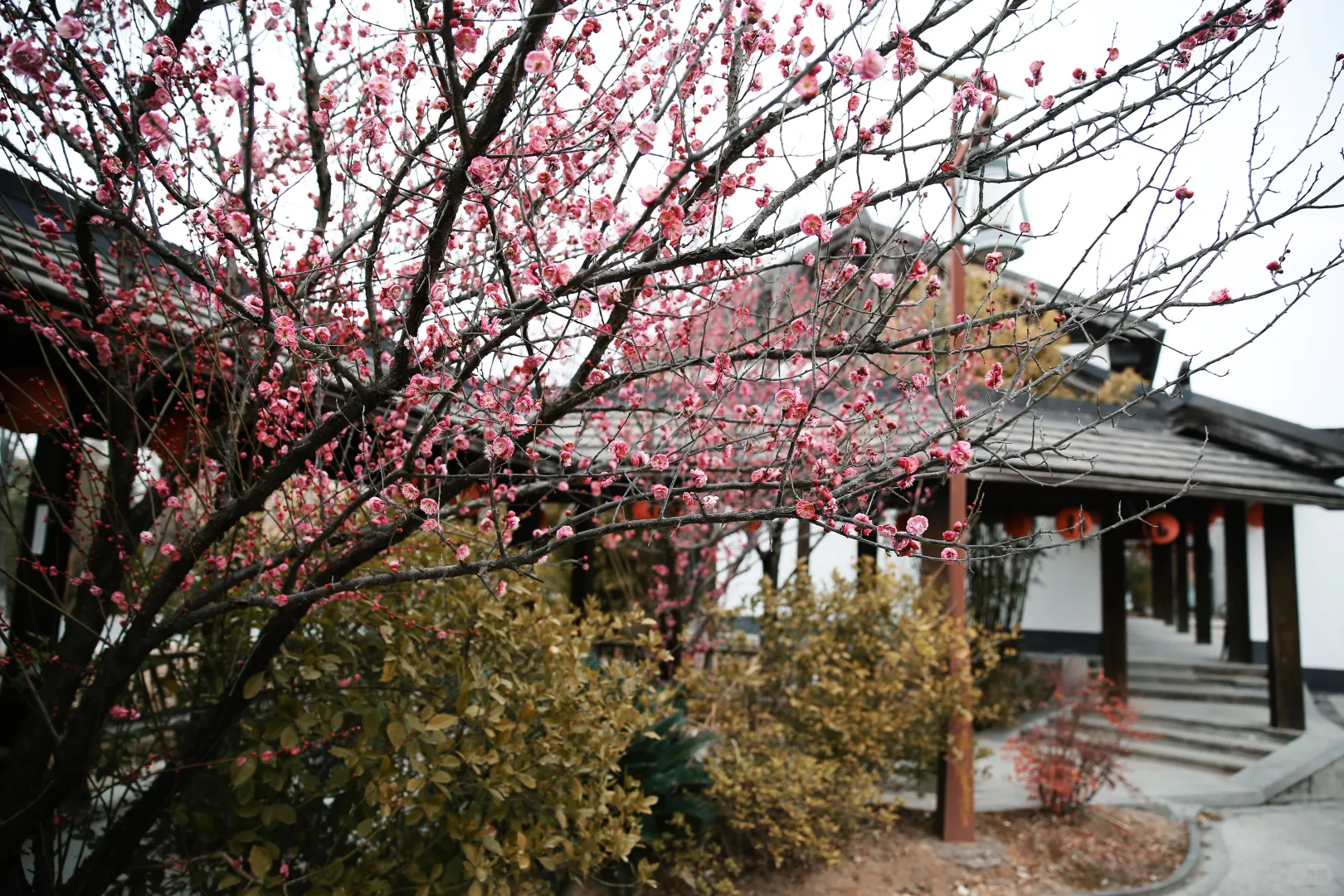 乡村振兴 | 农业文旅