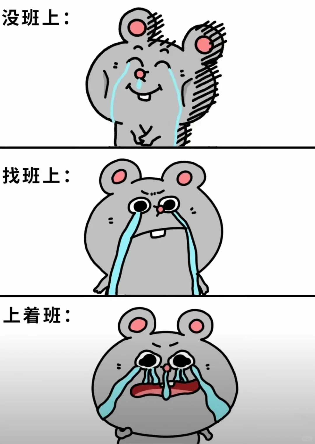 避雷农产品订单员交易员！没入职，已跑路