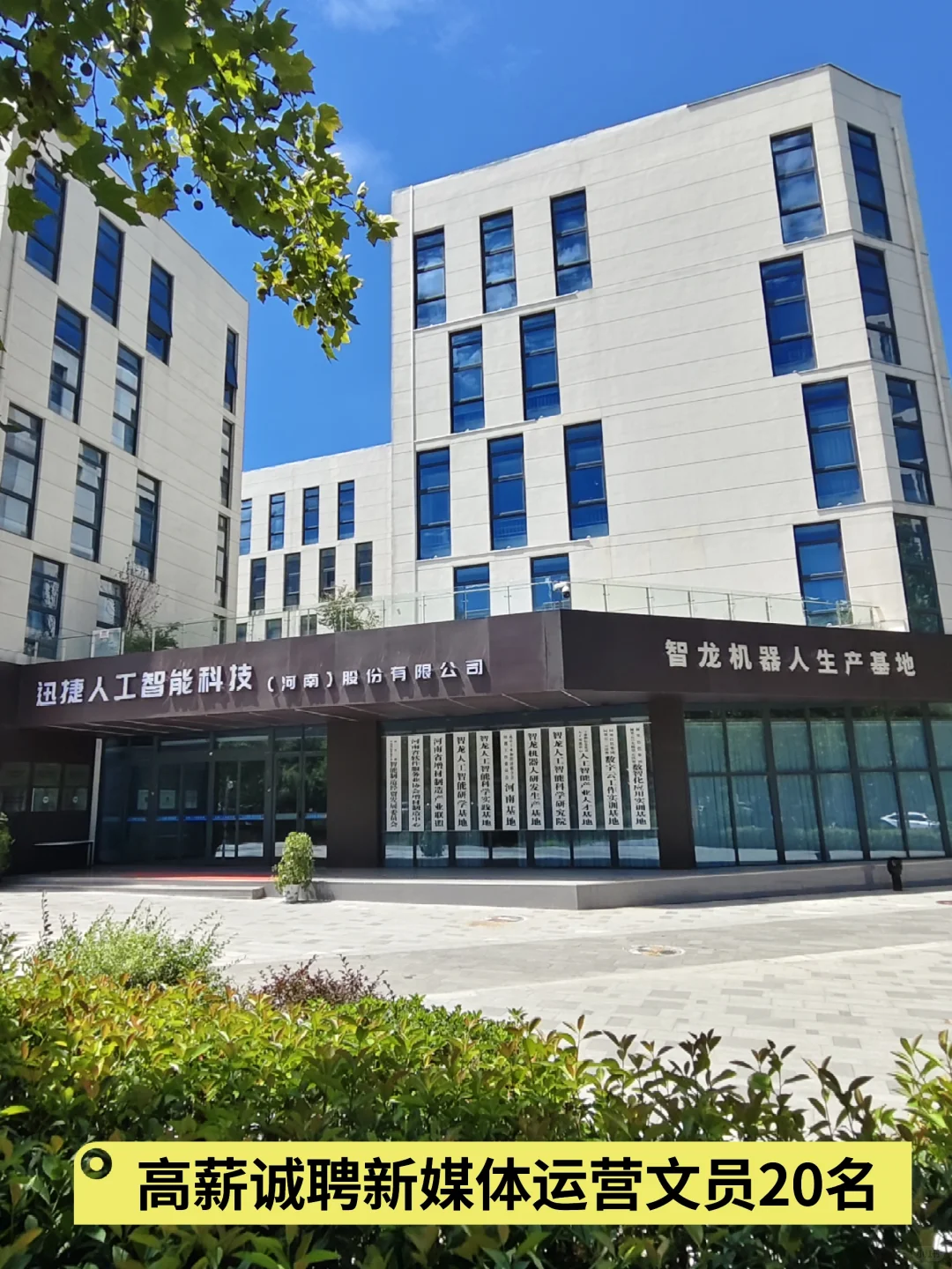 高薪诚聘新媒体运营文员20名