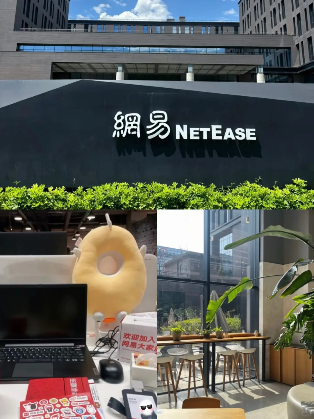 网易急捞实习生！（开学可到岗）