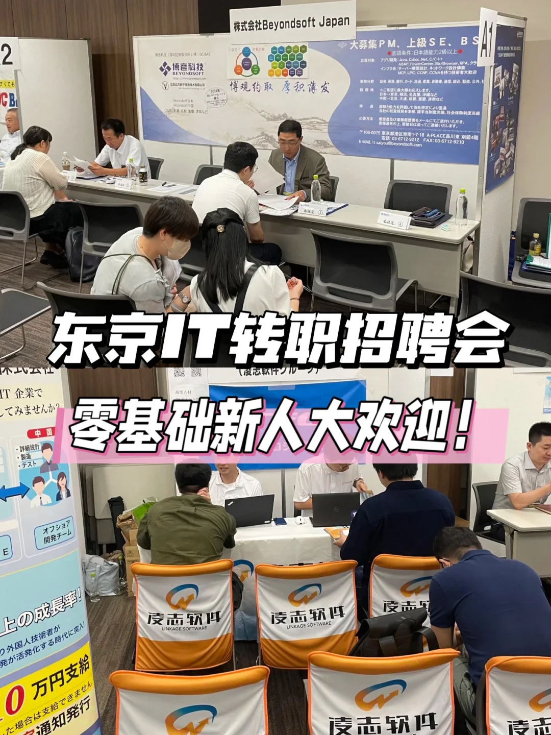 东京IT转职招聘会，新人机会多多！