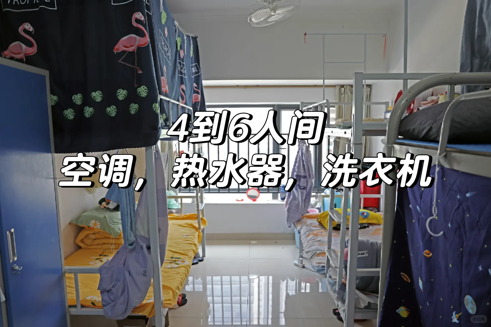 深圳龙岗小厂招工16到48岁临时工280一天