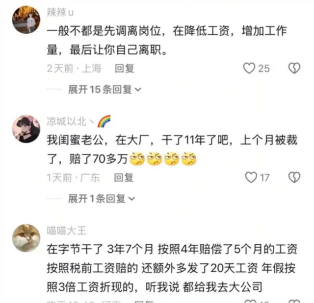 做丫鬟也得找互联网大厂做