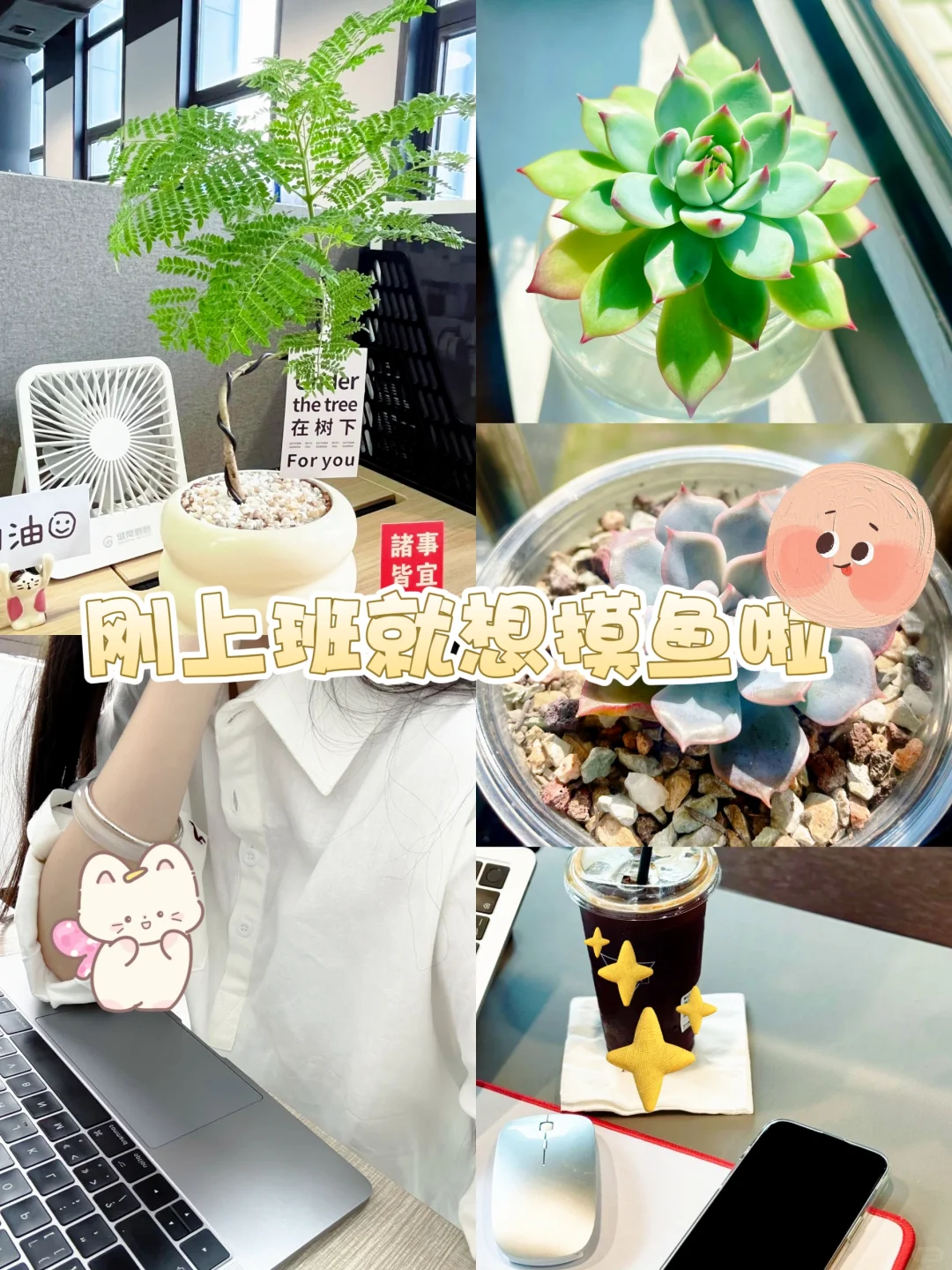 普通学历的福音!早九晚五+双休,月过w