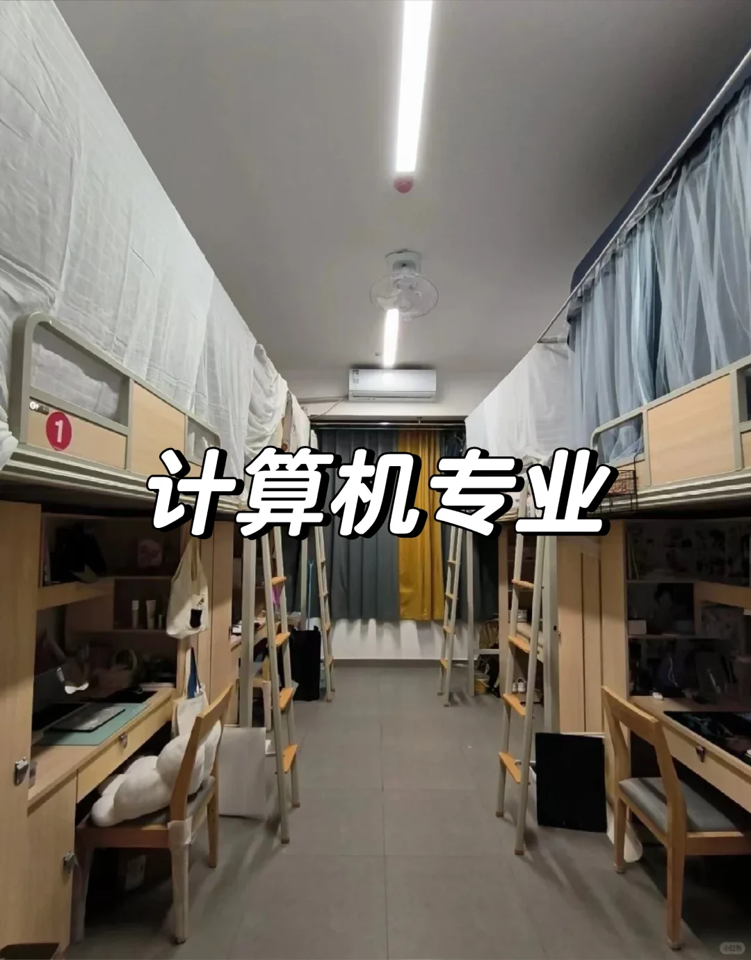 如果让计算机生重新回到大一......