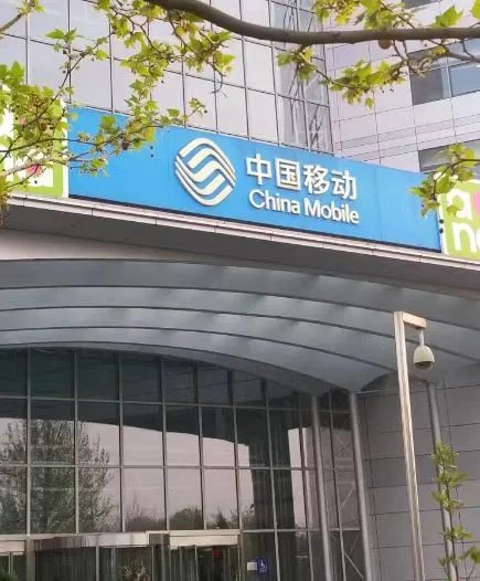 校招进了移动,真心累....