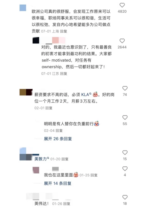 XHS扒到的神仙外企,本留子看完醍醐灌顶