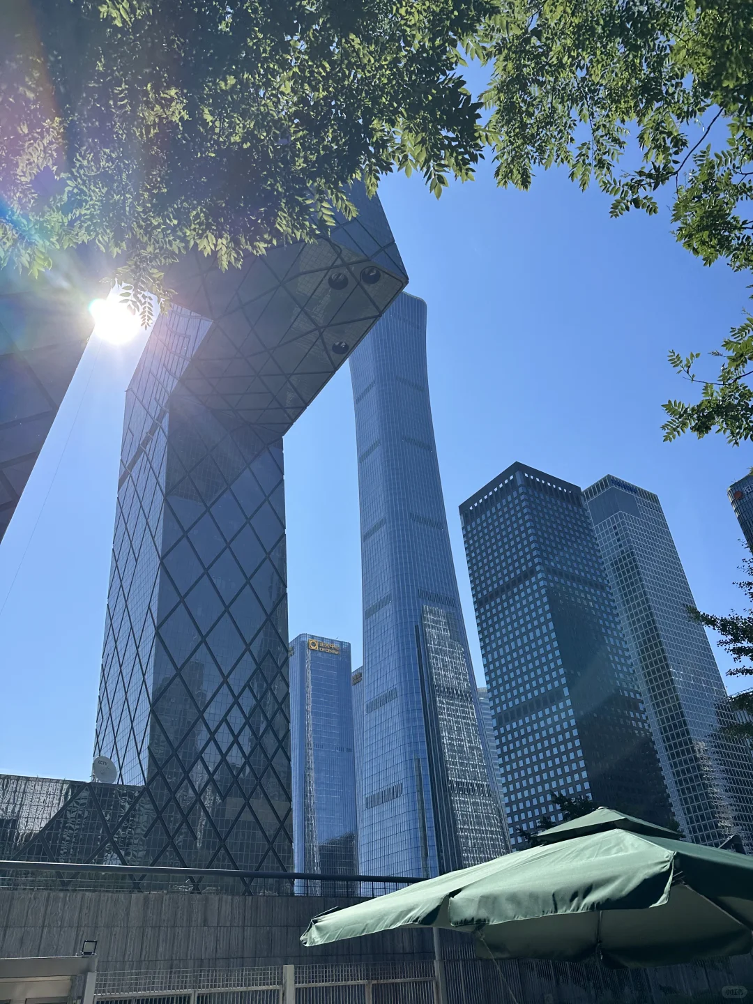 速招！电商实习生