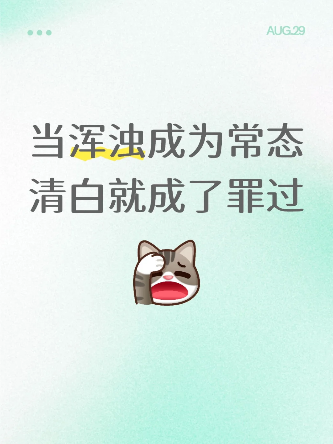 和我的3个实习生(兰兰,白白,紫紫)