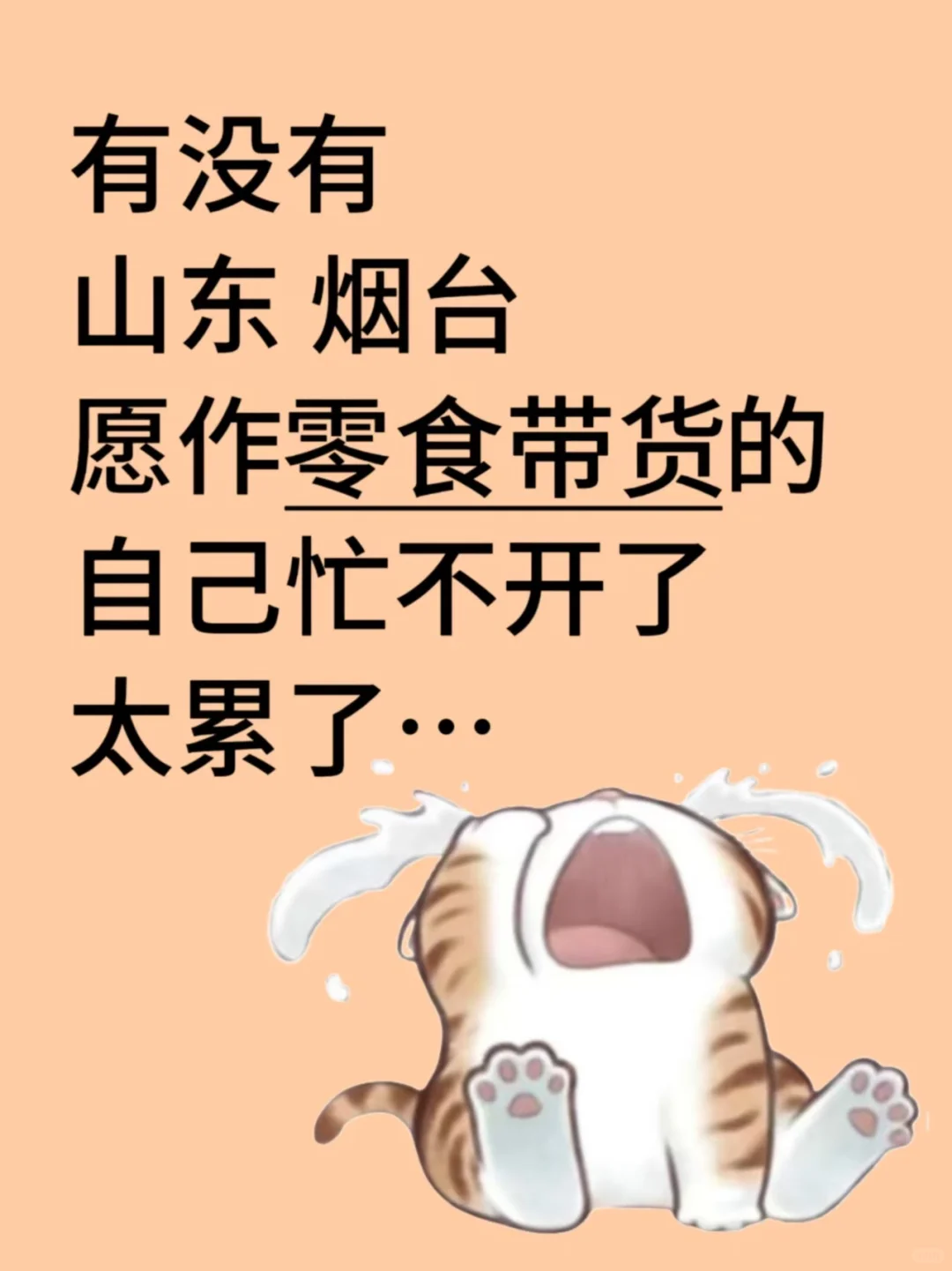 有没有想做零食带货哒！