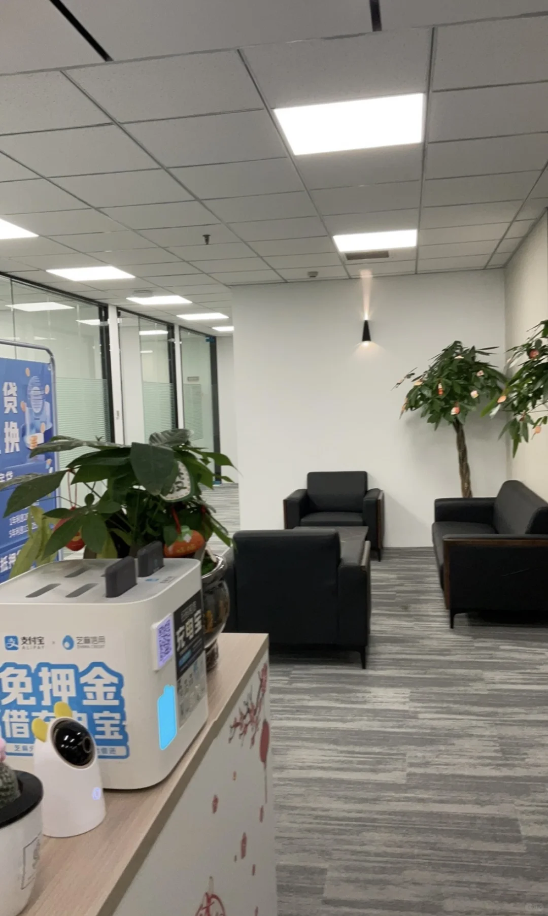 我真的很努力在招人了?