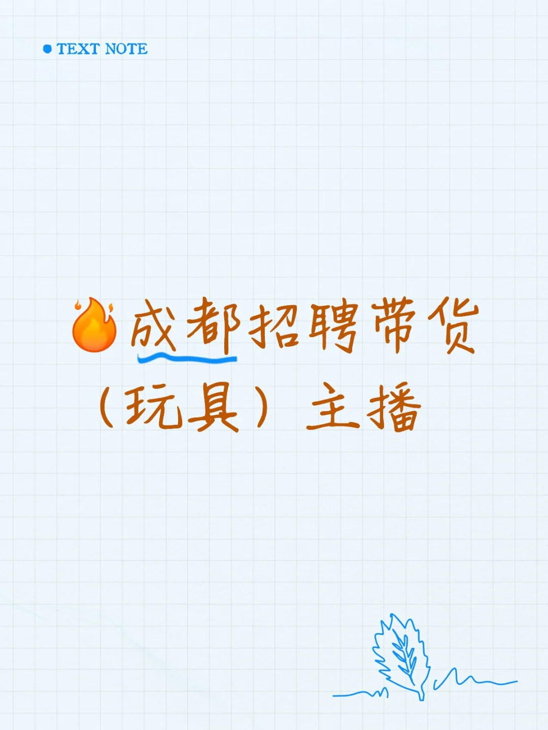动物园附近招聘带货玩具主播！