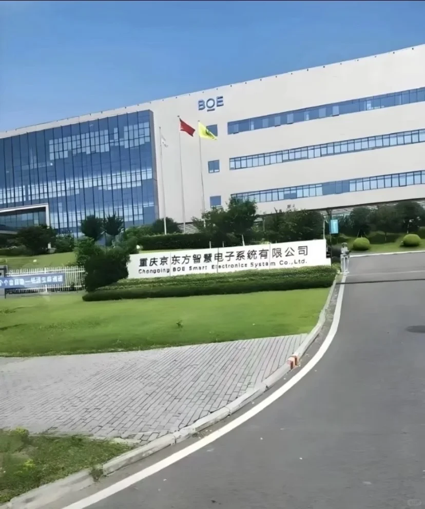 勇闯京东方