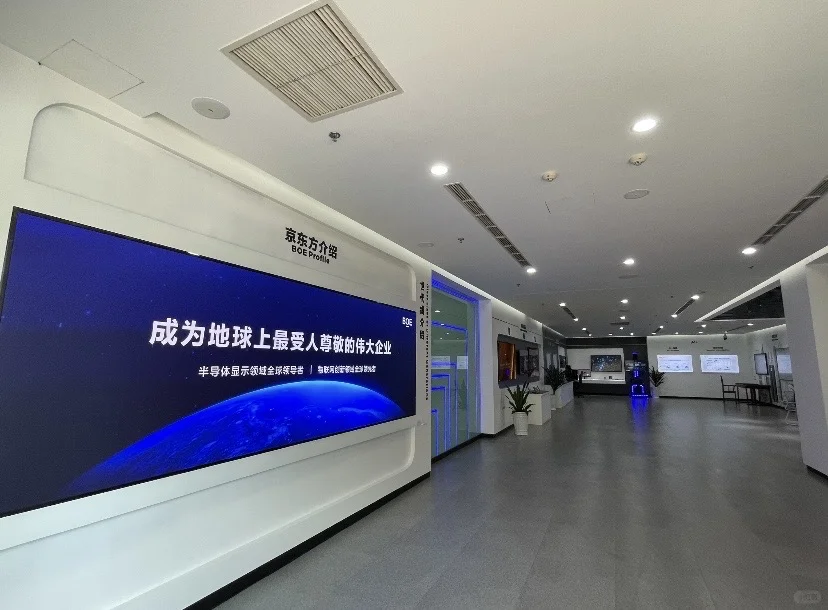 勇闯京东方
