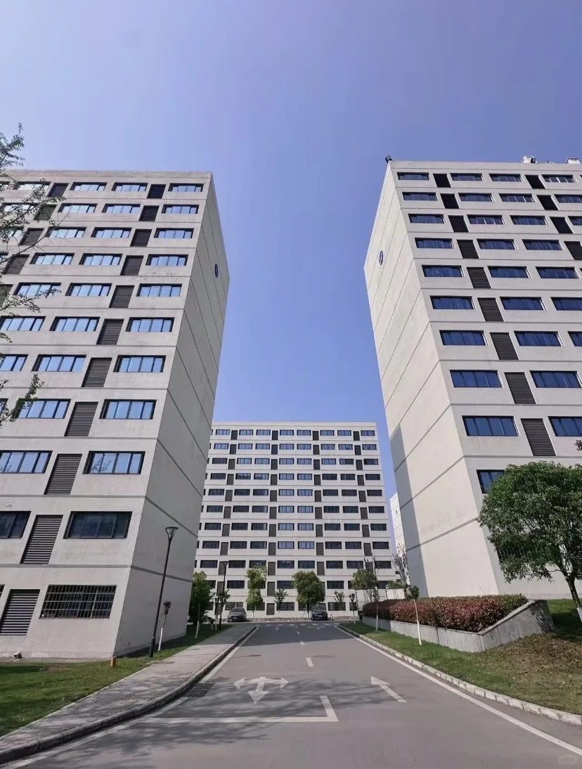 勇闯京东方